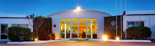 Apartamentos HSA Ficus