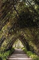 Ho Tram Beach Boutique Resort & Spa