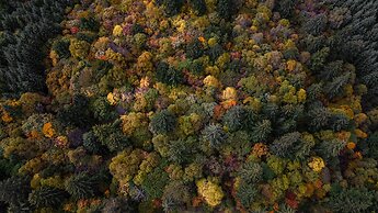 InterContinental Resort Jiuzhai Paradise by IHG