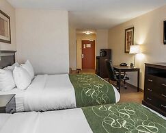 Comfort Suites Southport