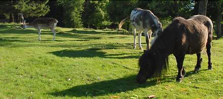 Les Jardins De Sophie