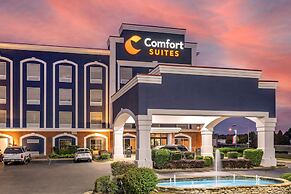 Comfort Suites Olive Branch - Memphis South
