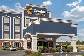 Comfort Suites Olive Branch - Memphis South