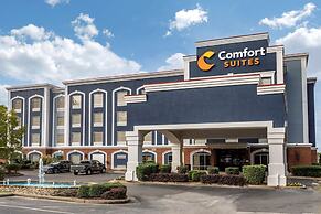 Comfort Suites Olive Branch - Memphis South
