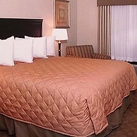 Americas Best Value Inn & Suites Griffin