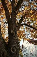 Hotel Altes Amtshaus