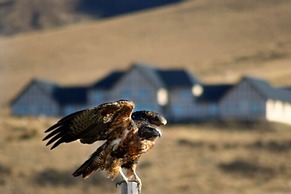 EOLO - Patagonia´s Spirit