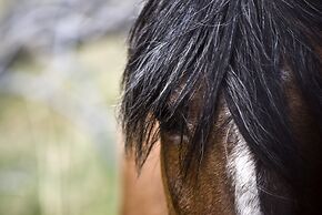 EOLO - Patagonia´s Spirit