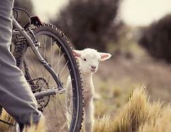 EOLO - Patagonia´s Spirit