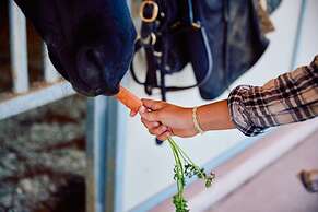 Fairmont Grand Del Mar