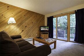 Scandinavian Lodge And Condominiums by Pioneer Ridge Mgmt