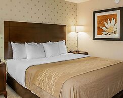 Comfort Inn Bloomington near University