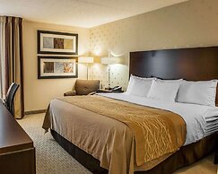 Comfort Inn Bloomington near University