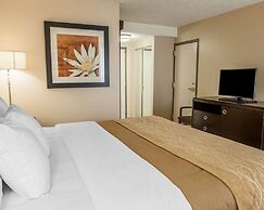 Comfort Inn Bloomington near University
