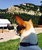 Spearfish Canyon Lodge