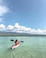 Badian Island Wellness Resort