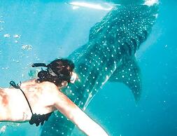 Badian Island Wellness Resort