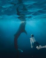 Badian Island Wellness Resort