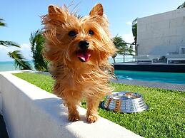 Blue Diamond Luxury Boutique - All Inclusive - Adults Only