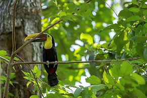 Hotel Cuna Del Angel
