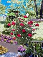 Robins Nest Bed & Breakfast