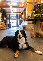 Nita Lake Lodge