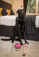 The Ashleigh - Dog Friendly