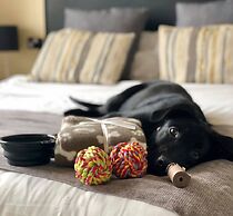 The Ashleigh - Dog Friendly
