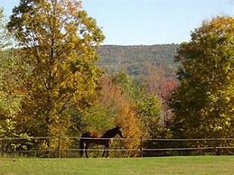 Inn at Clearwater Pond (Quechee)