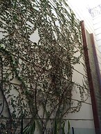 Purobaires Hotel Boutique