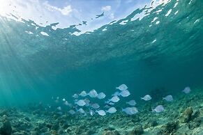 Bungalows at Windsong on the Reef