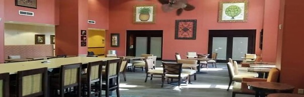 Hampton Inn & Suites Tampa-Wesley Chapel