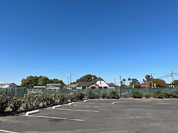 Maple Inn & Suites