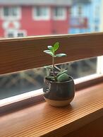 The Inn at Creek Street