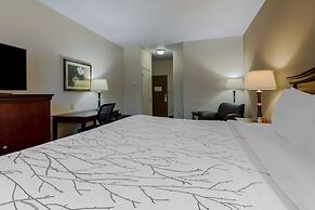 Best Western Plus Sweetwater Inn & Suites