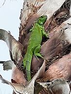 The Grand Guesthouse