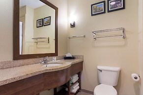 Comfort Suites North Mobile