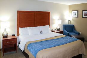 Comfort Inn & Suites Sikeston I-55