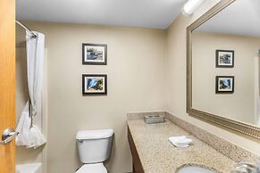 Comfort Inn & Suites Sikeston I-55