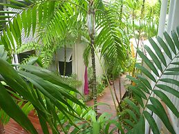 Palm Cove Tropic Apartments