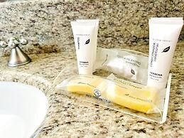 Blue Tree Towers Joinville