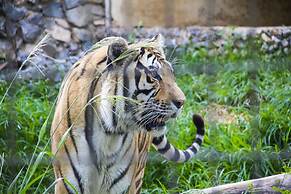 Hotel Dan Inn Sorocaba by Nacional Inn