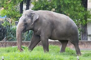 Hotel Dan Inn Sorocaba by Nacional Inn