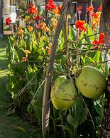 Casa Di Vina Boutique Hotel