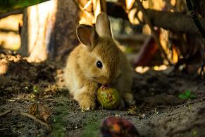 Catussaba Resort Hotel