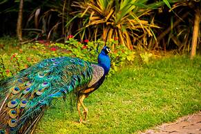 Catussaba Resort Hotel