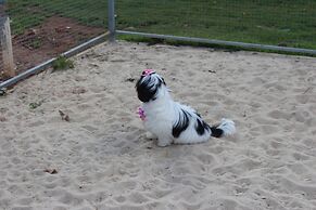 ibis Styles Rio Preto Monte Líbano