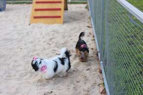 ibis Styles Rio Preto Monte Líbano