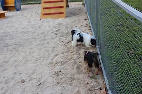 ibis Styles Rio Preto Monte Líbano