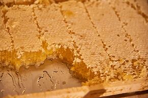 Hotel Cosimo De' Medici